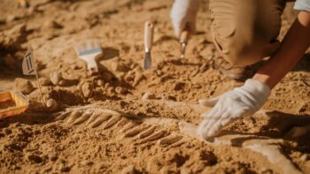 ARQUEOLOGIA E PATRIMÔNIO