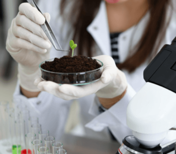 DIABETES E COMPLICAÇÕES CRÔNICAS